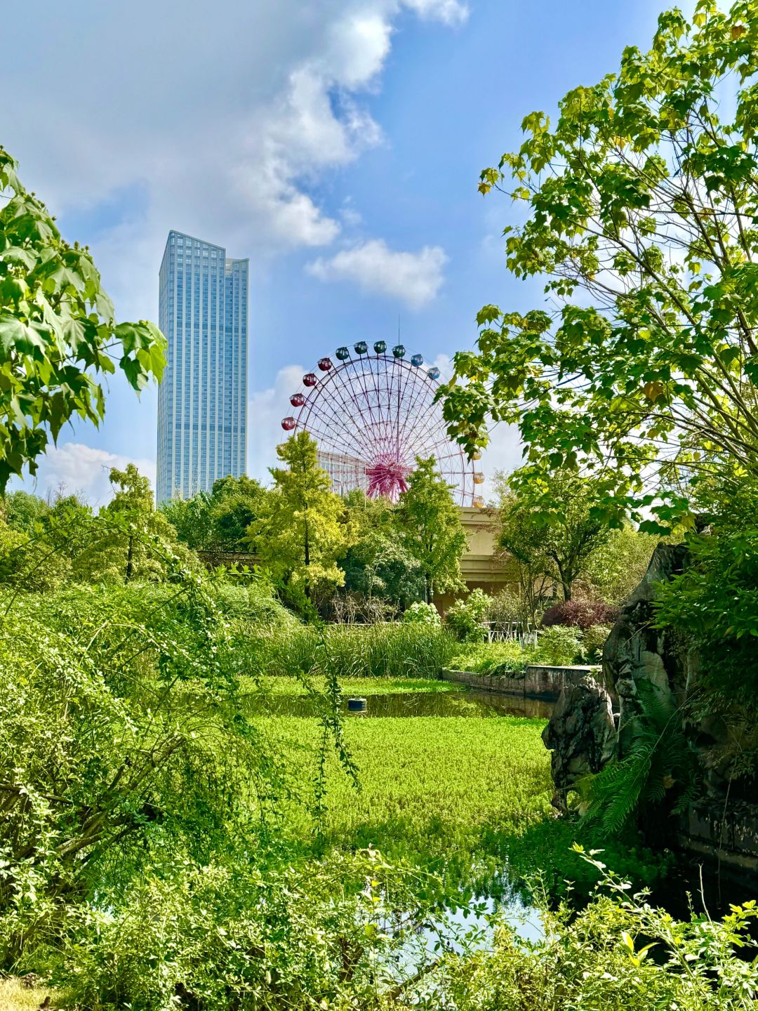 Chengdu/Chongqing-At Chengdu Nanhu Park, you can camp with your dog!