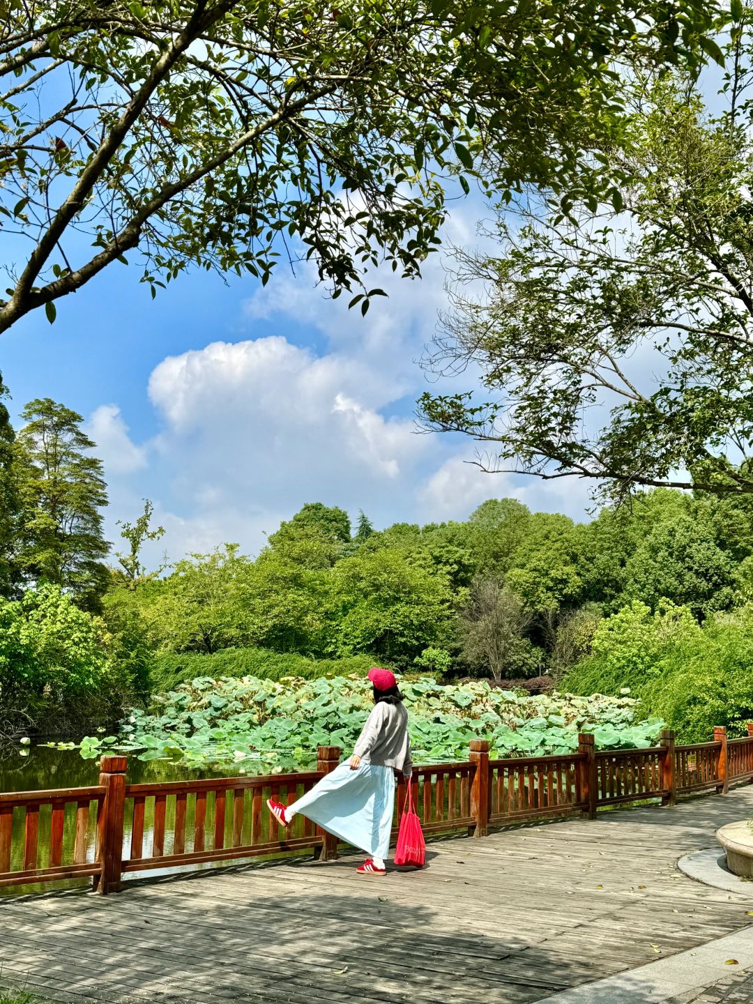 Chengdu/Chongqing-At Chengdu Nanhu Park, you can camp with your dog!