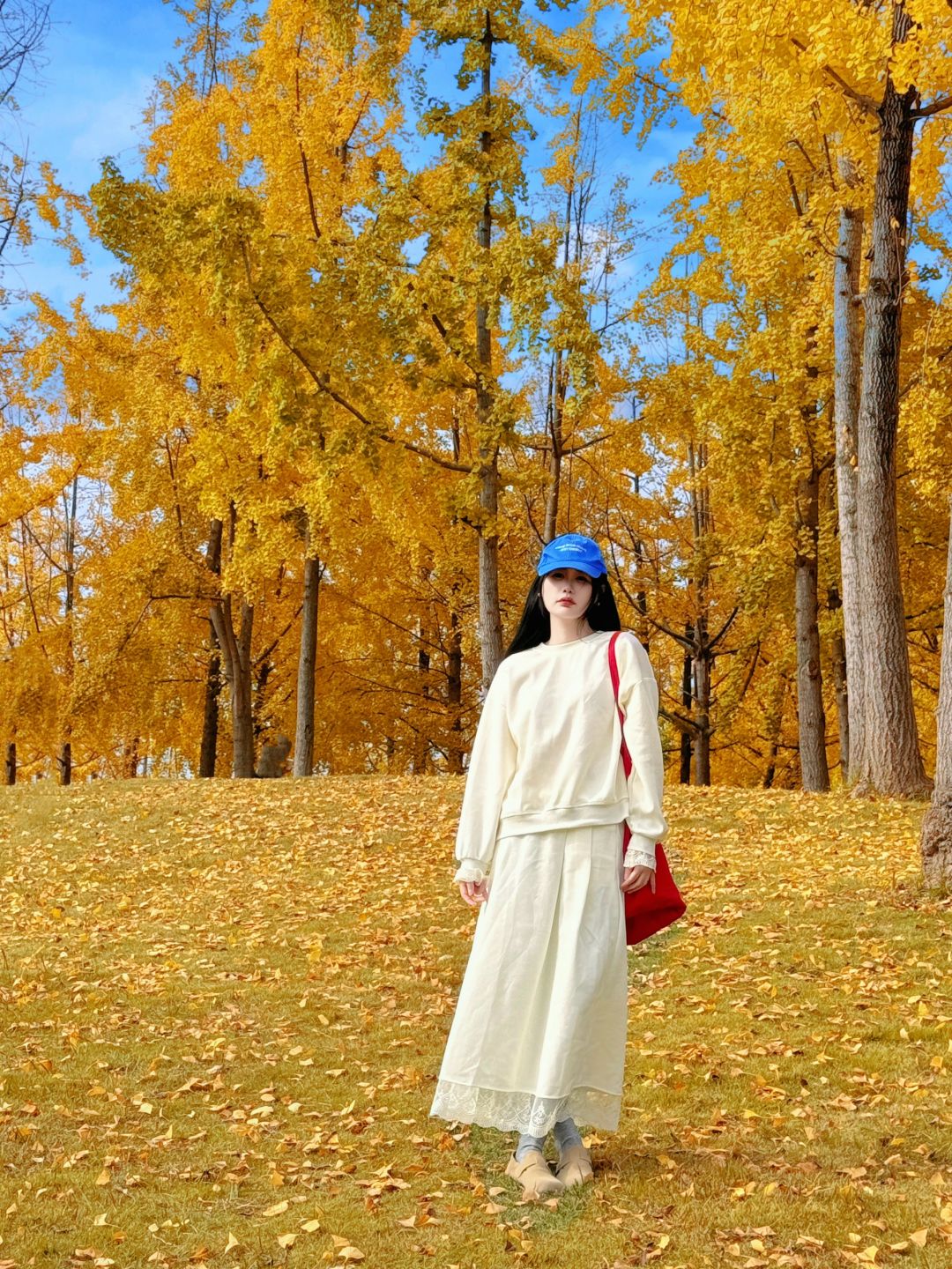 Sichuan-The ginkgo forest in Chengdu Tianfu Park has turned into a golden ocean!