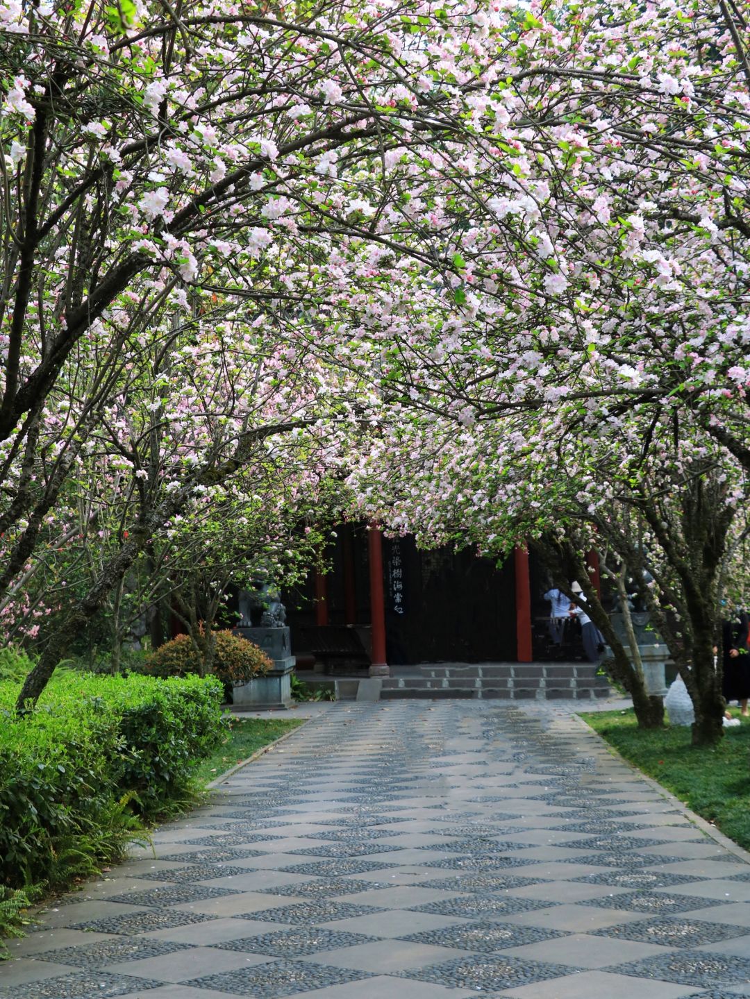 Sichuan-Trip advice: Visit these 5 parks before leaving Chengdu~