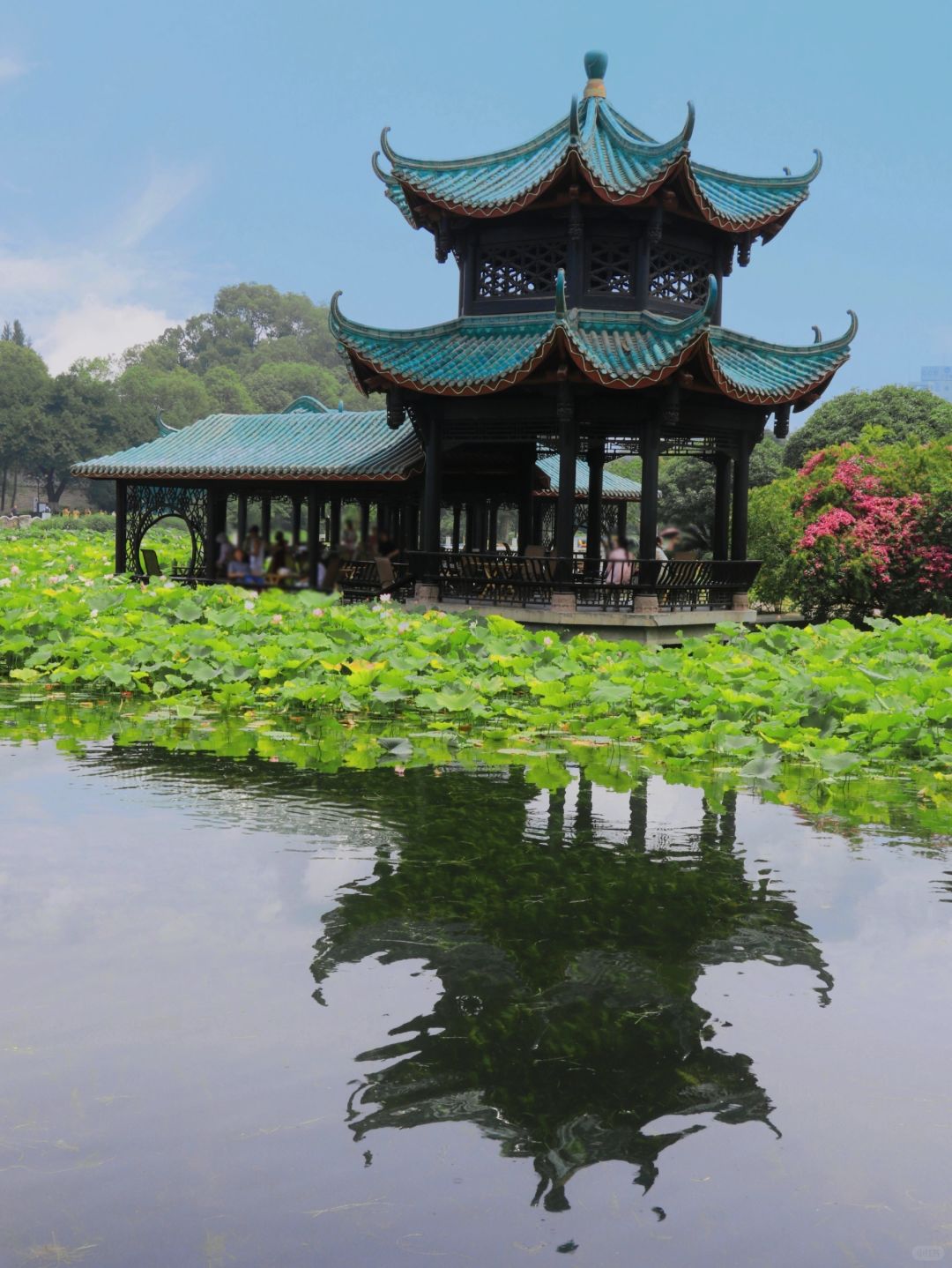 Sichuan-Trip advice: Visit these 5 parks before leaving Chengdu~