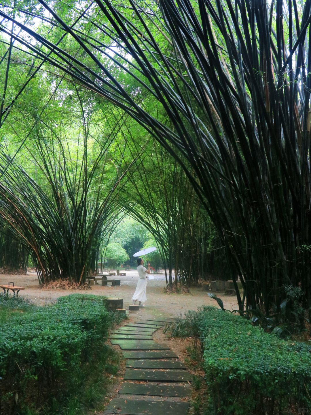 Sichuan-Trip advice: Visit these 5 parks before leaving Chengdu~