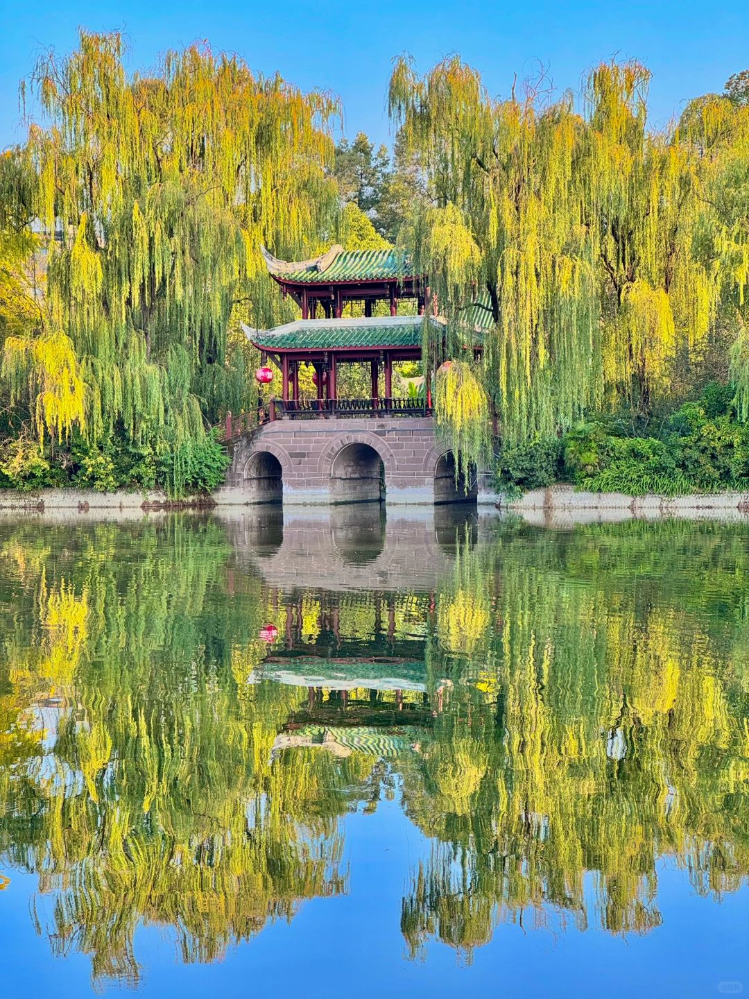 Chengdu/Chongqing-Chengdu Tanghu park，It is no exaggeration to say that this is the most beautiful park I have seen！