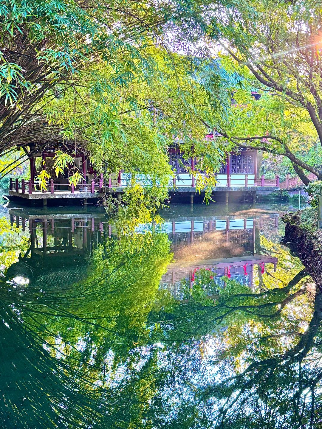 Chengdu/Chongqing-Chengdu Tanghu park，It is no exaggeration to say that this is the most beautiful park I have seen！