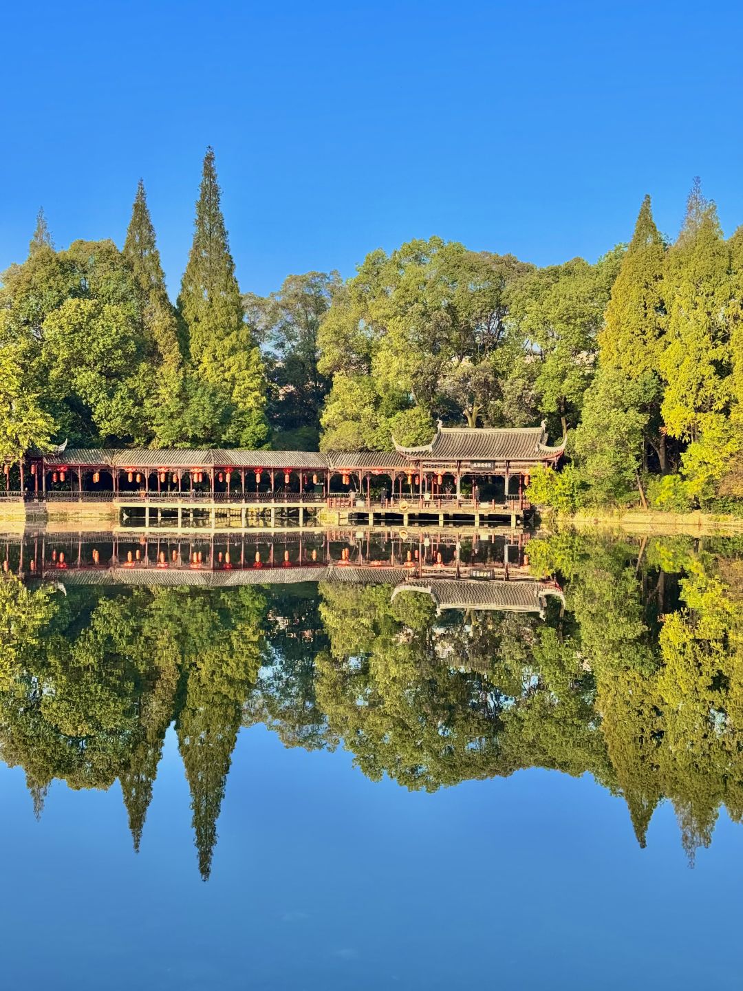 Chengdu/Chongqing-Chengdu Tanghu park，It is no exaggeration to say that this is the most beautiful park I have seen！