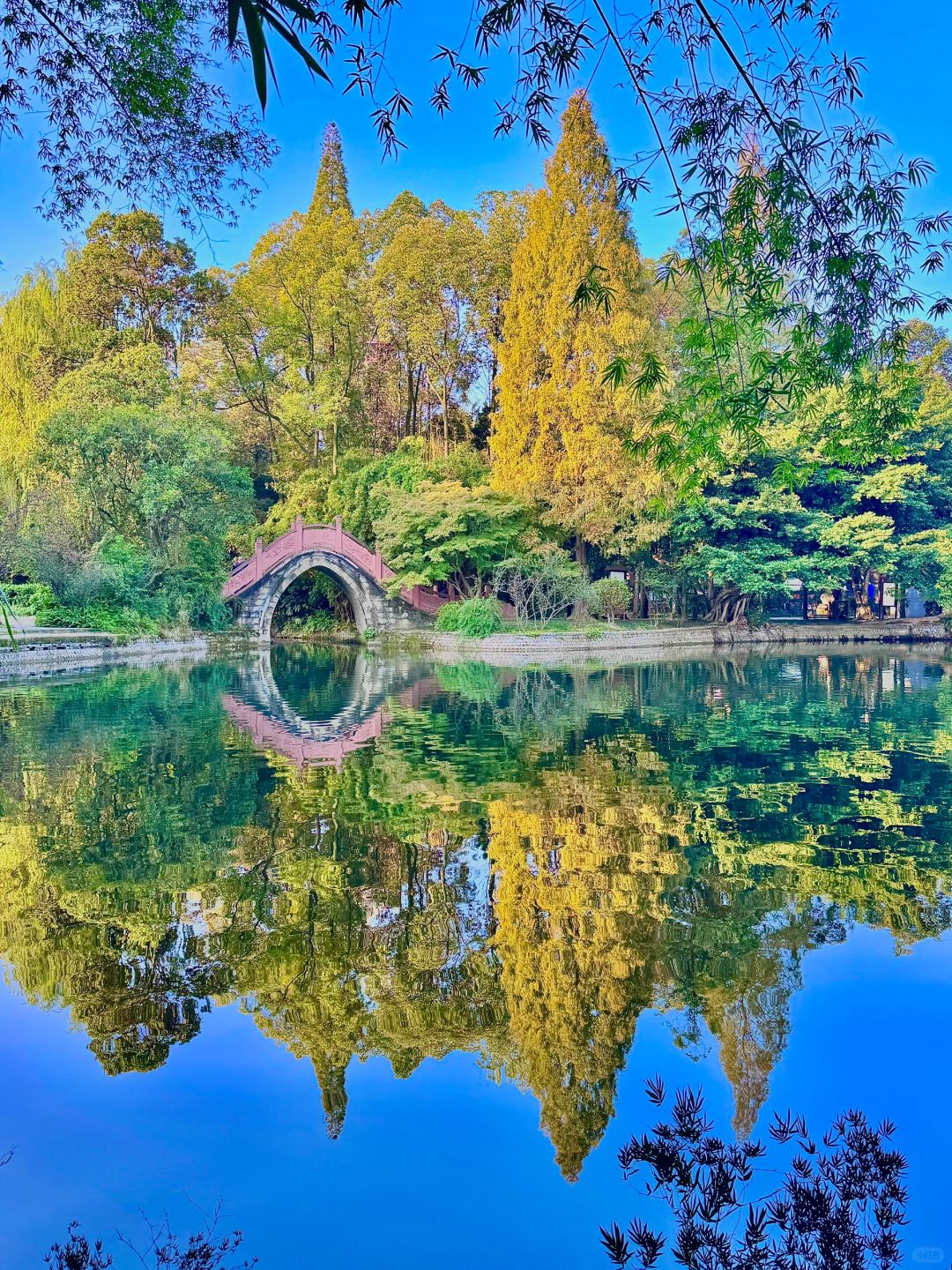 Chengdu/Chongqing-Chengdu Tanghu park，It is no exaggeration to say that this is the most beautiful park I have seen！