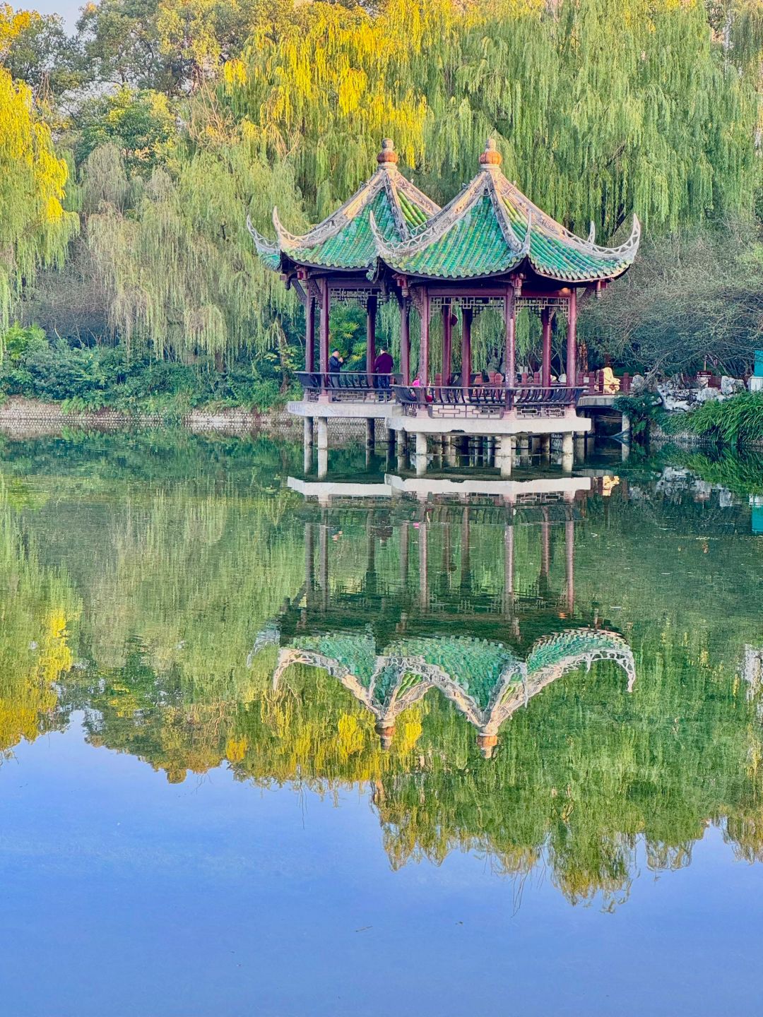 Sichuan-Chengdu Tanghu park，It is no exaggeration to say that this is the most beautiful park I have seen！