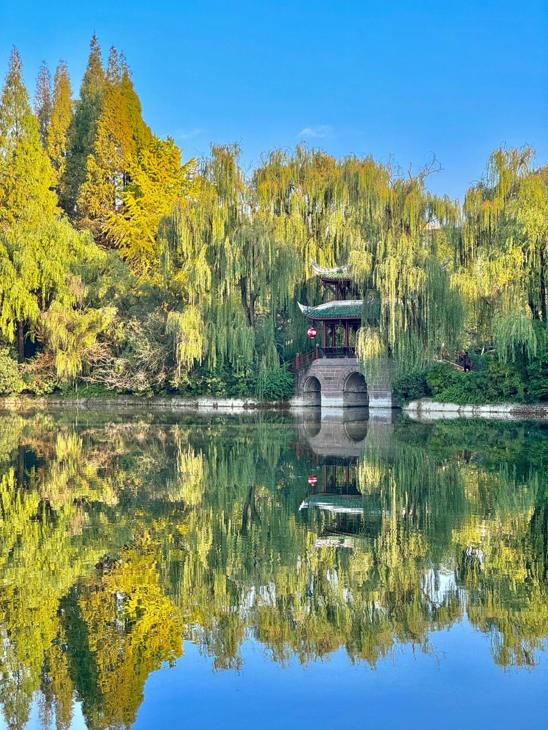 Chengdu/Chongqing-Chengdu Tanghu park，It is no exaggeration to say that this is the most beautiful park I have seen！