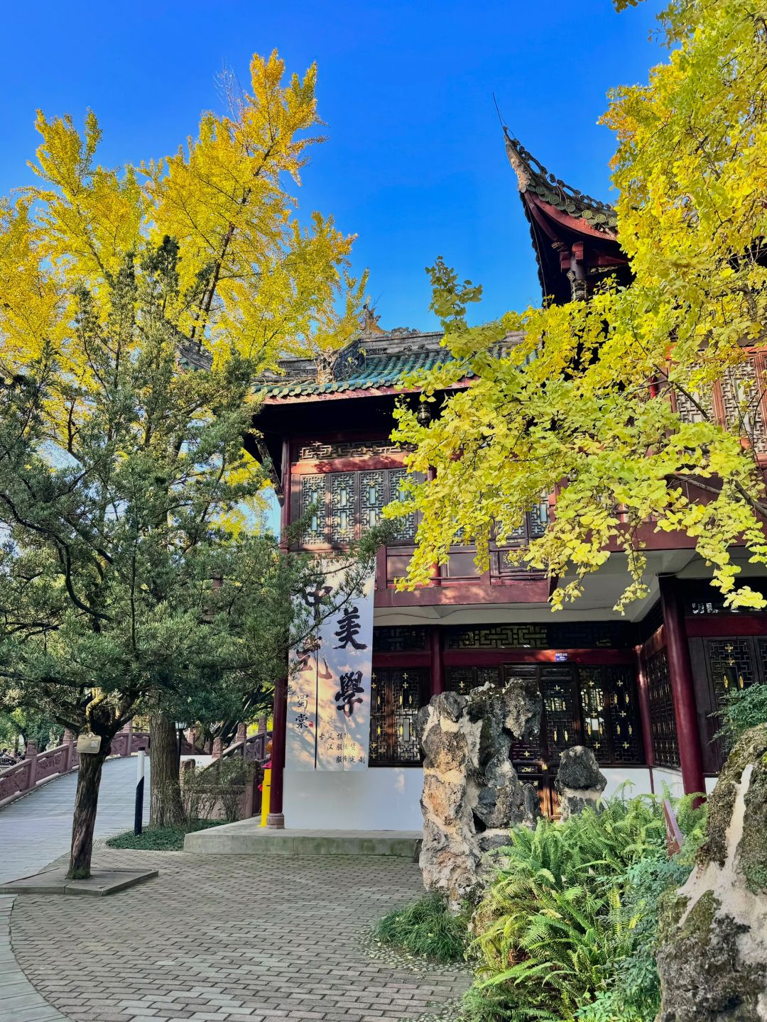 Sichuan-Chengdu Tanghu park，It is no exaggeration to say that this is the most beautiful park I have seen！