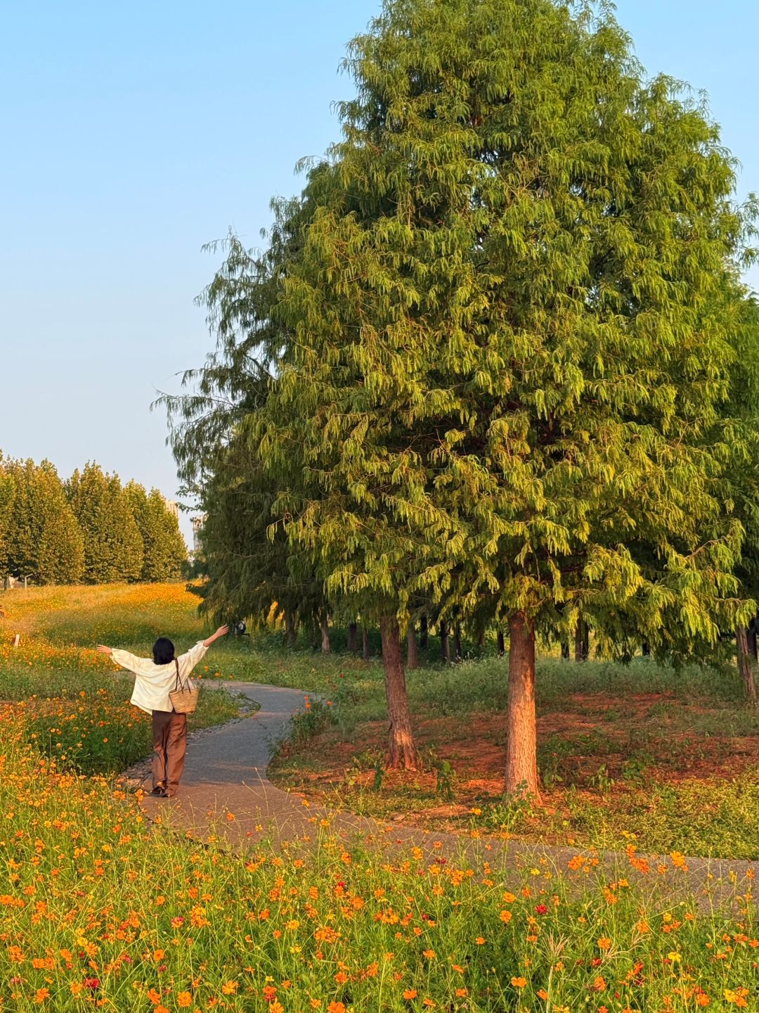 Hunan-I declare these park are the most popular parks in Changsha！