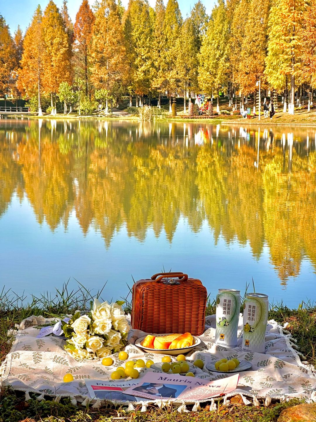 Changsha-Changsha Garden Ecological Park, one of the most suitable camping parks in Changsha, has a very beautiful water fir forest!