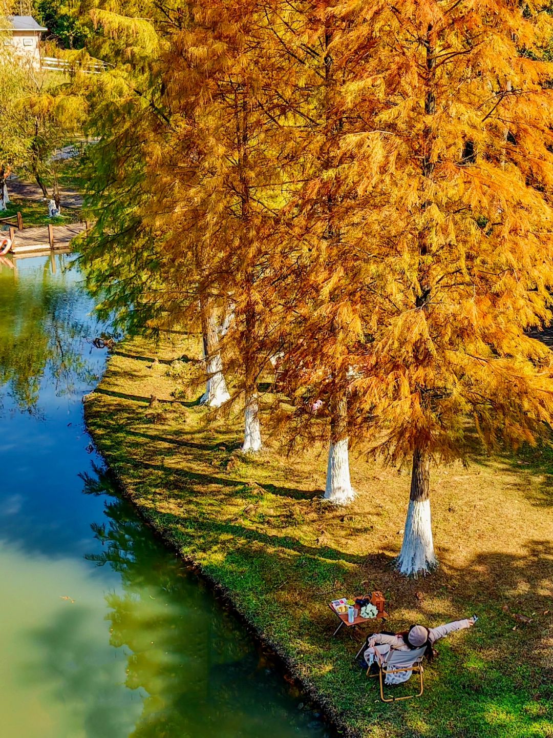 Changsha-Changsha Garden Ecological Park, one of the most suitable camping parks in Changsha, has a very beautiful water fir forest!