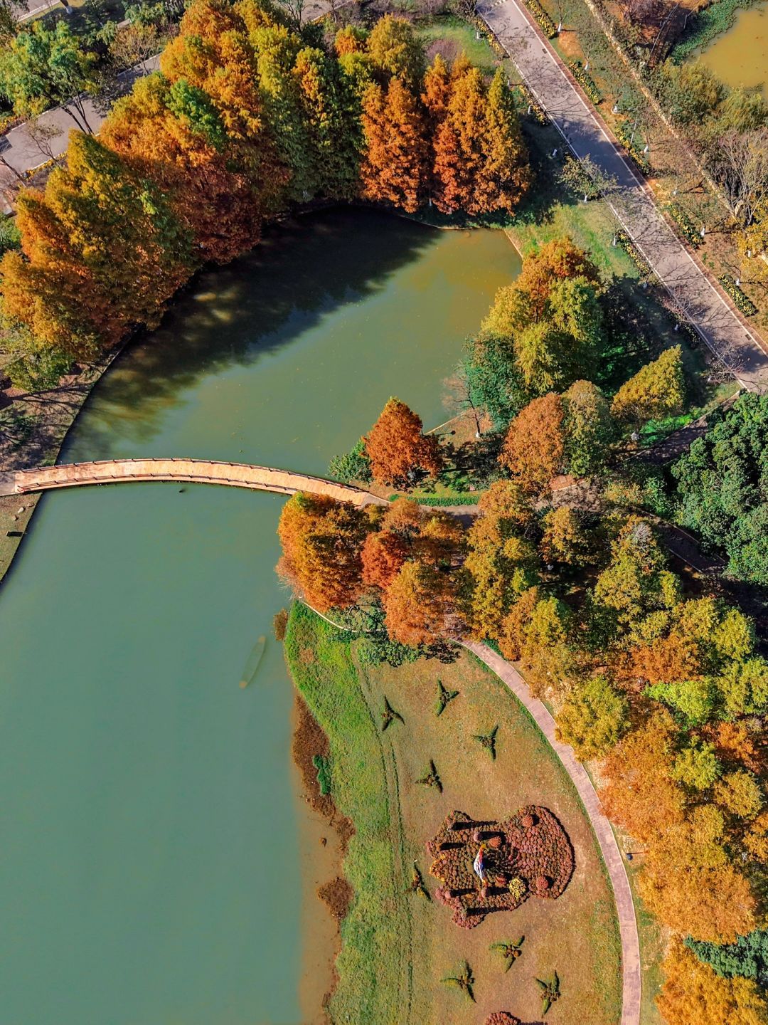 Changsha-Changsha Garden Ecological Park, one of the most suitable camping parks in Changsha, has a very beautiful water fir forest!