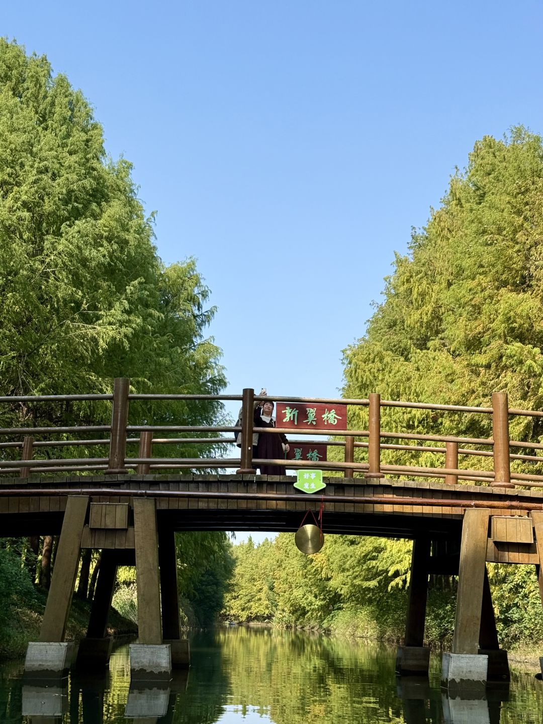 Jiangsu/Zhejiang/Shanghai-There is such a forest in Suzhou Huqiu park! ! ! You can row a boat! ! !