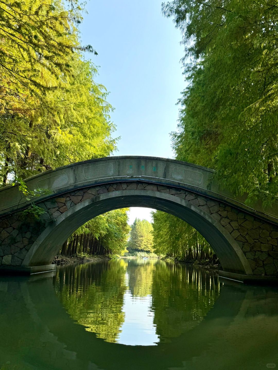 Jiangsu/Zhejiang/Shanghai-There is such a forest in Suzhou Huqiu park! ! ! You can row a boat! ! !