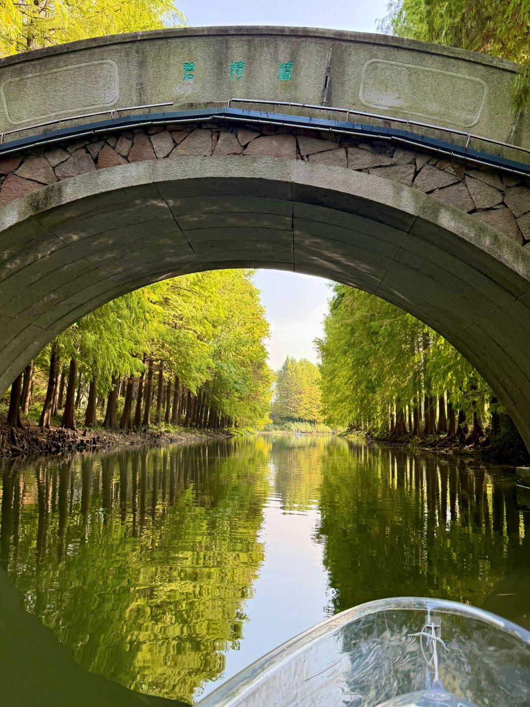 Jiangsu/Zhejiang/Shanghai-There is such a forest in Suzhou Huqiu park! ! ! You can row a boat! ! !