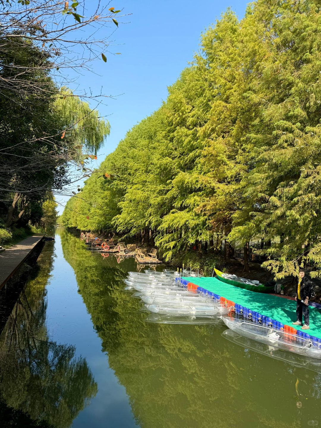 Jiangsu/Zhejiang/Shanghai-There is such a forest in Suzhou Huqiu park! ! ! You can row a boat! ! !