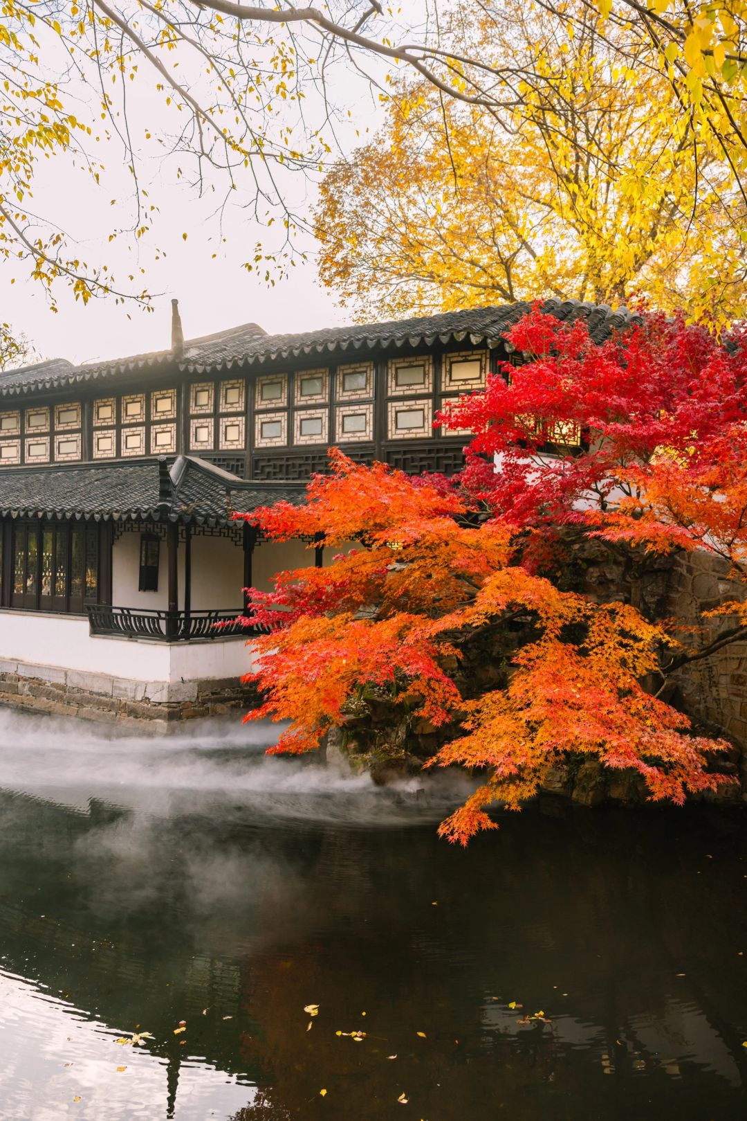 Shanghai/Hangzhou-Here are all the gardens worth visiting in Suzhou, which are wonderful masterpieces of nature and art!