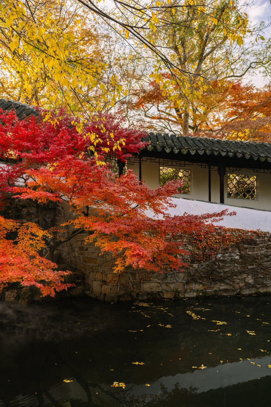 Shanghai/Hangzhou-Here are all the gardens worth visiting in Suzhou, which are wonderful masterpieces of nature and art!