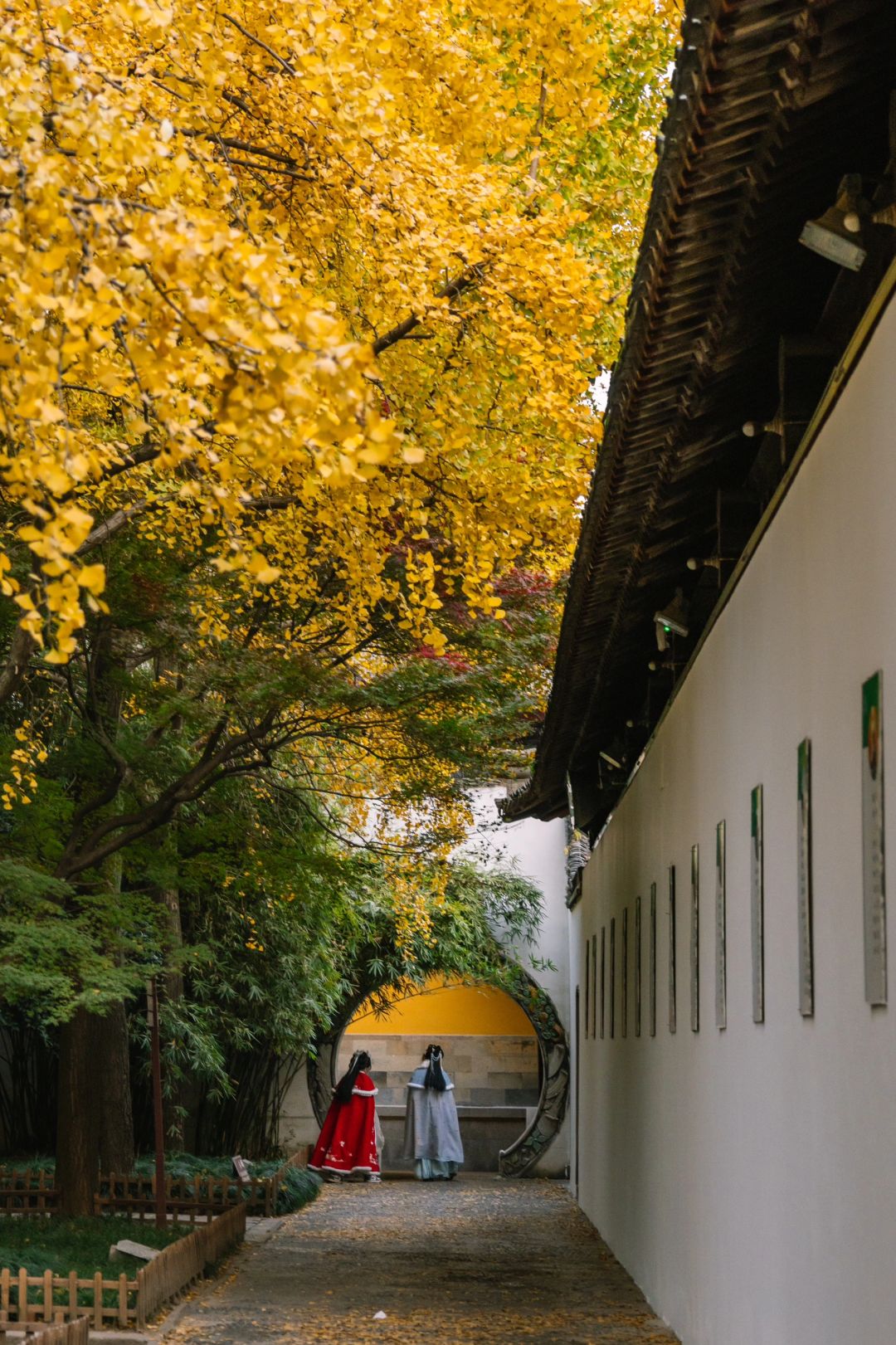 Shanghai/Hangzhou-Here are all the gardens worth visiting in Suzhou, which are wonderful masterpieces of nature and art!