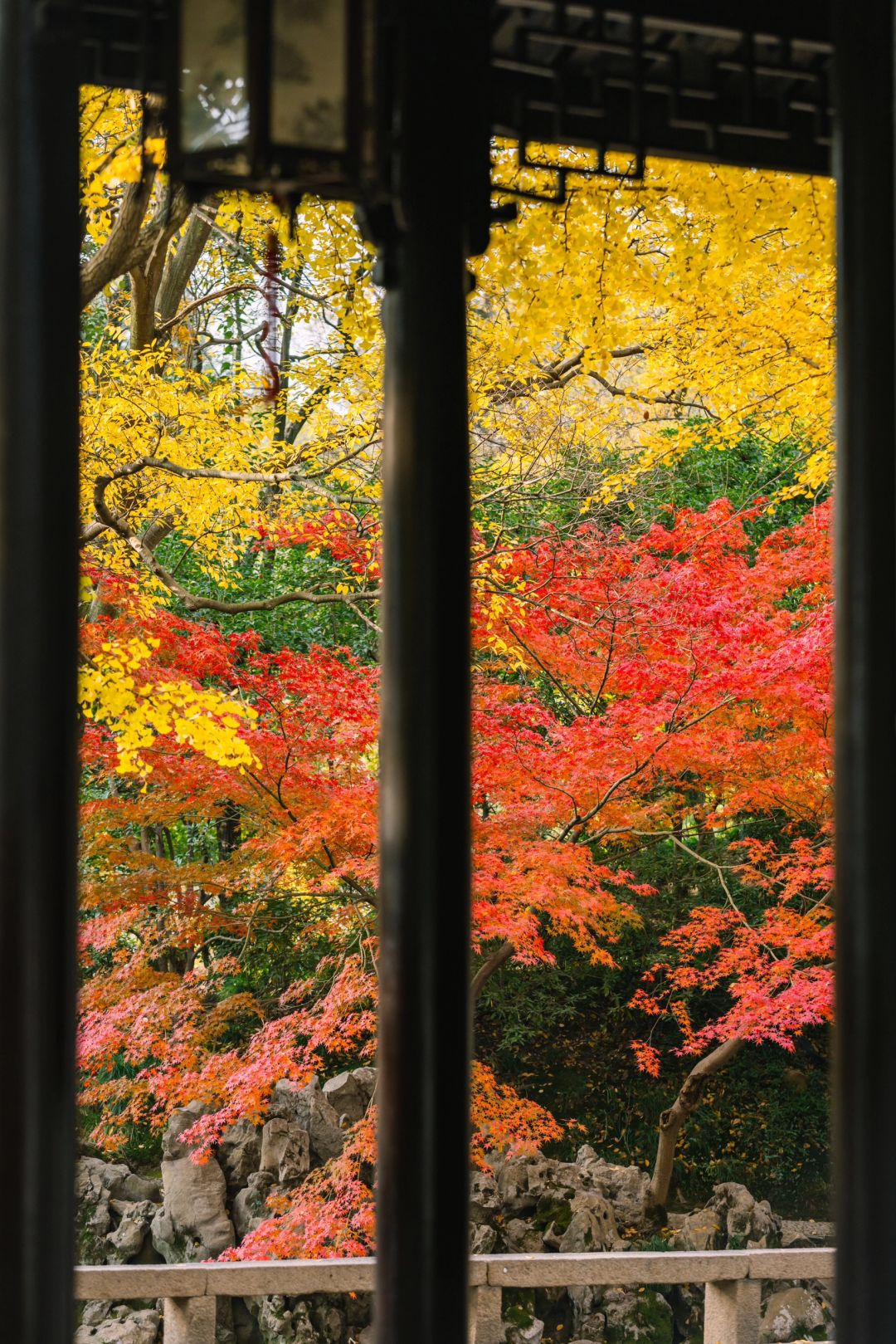 Shanghai/Hangzhou-Here are all the gardens worth visiting in Suzhou, which are wonderful masterpieces of nature and art!