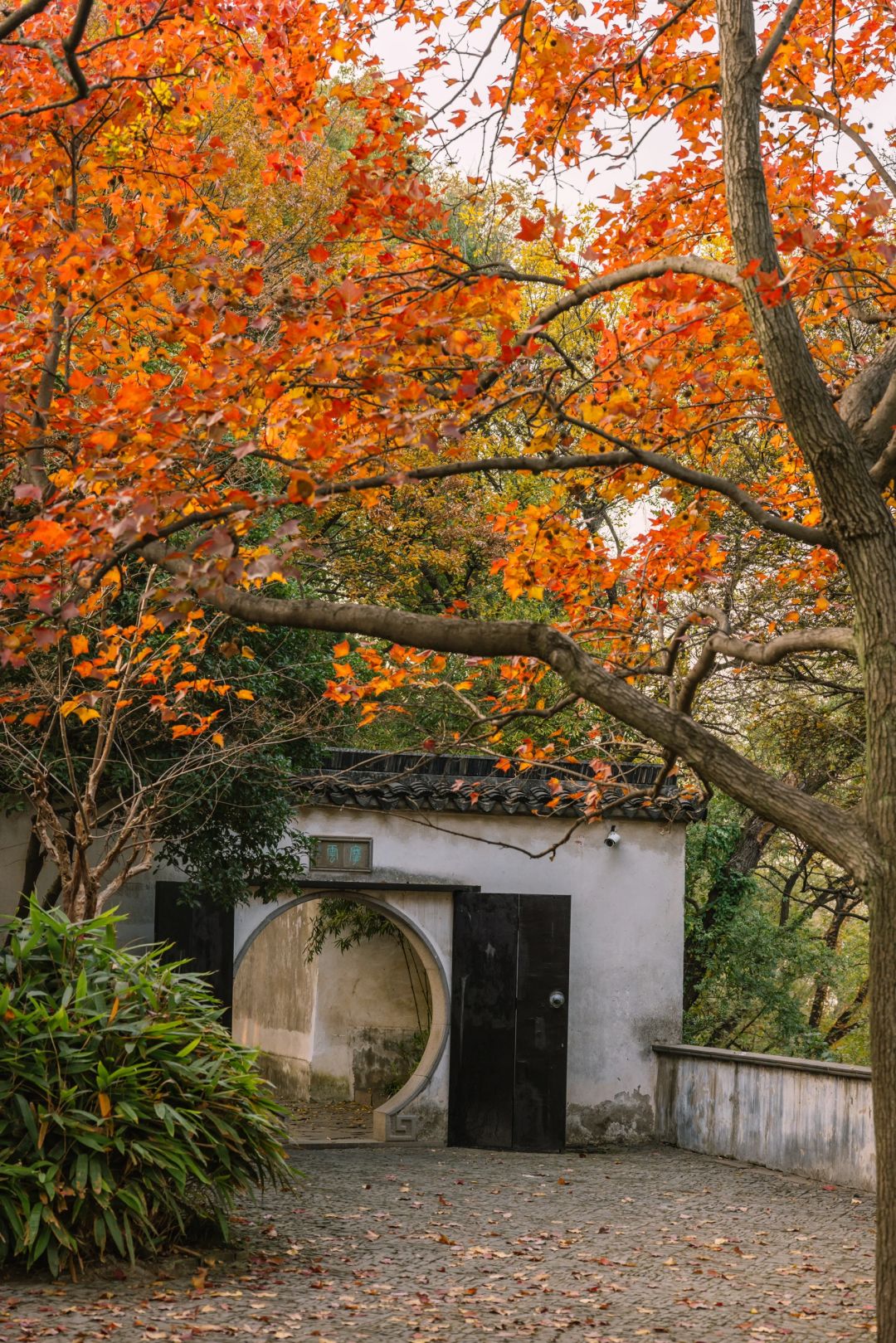 Shanghai/Hangzhou-Here are all the gardens worth visiting in Suzhou, which are wonderful masterpieces of nature and art!