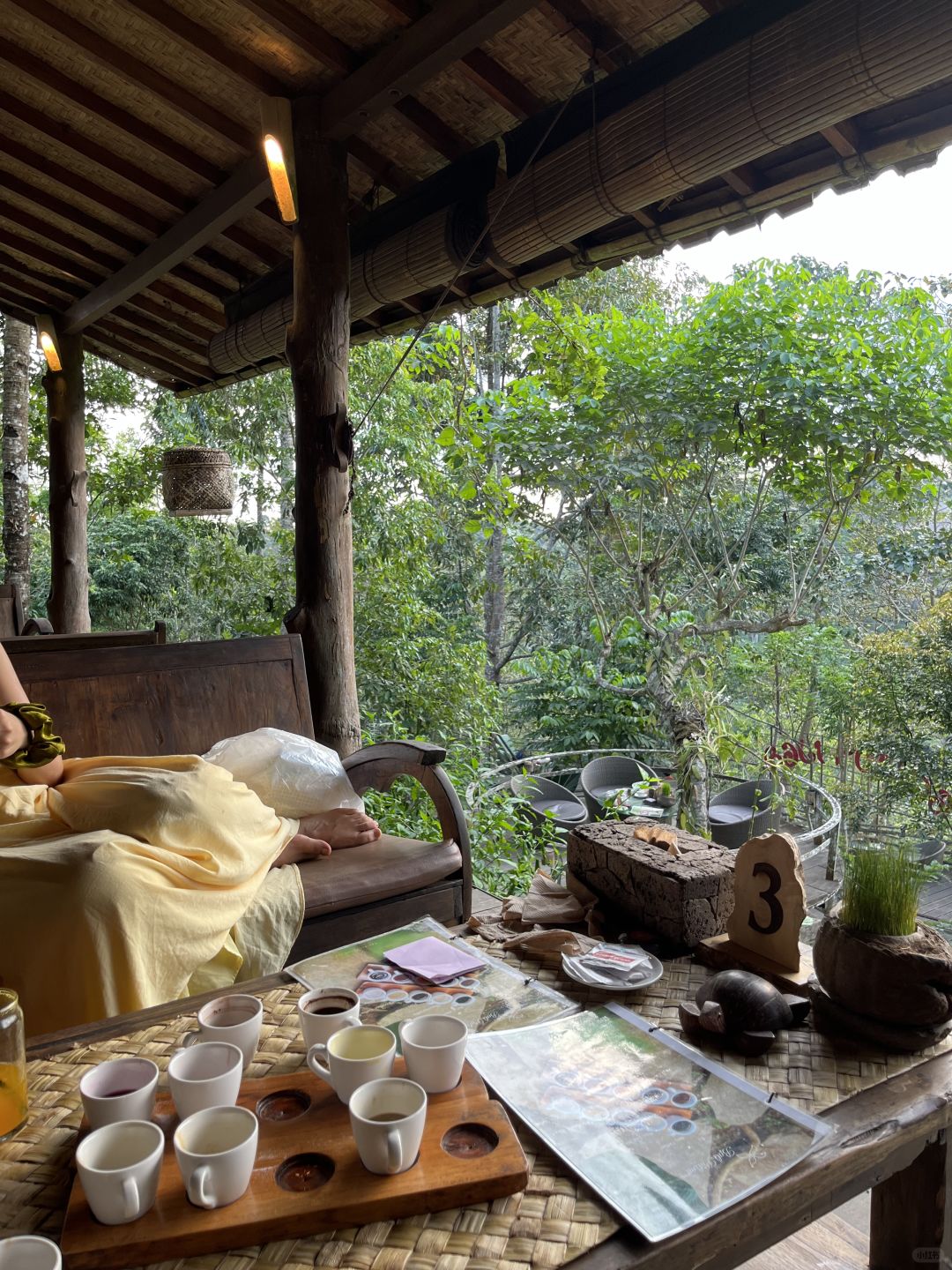 Bali-Relax at Pulina Coffee Farm in Ubud, Bali, and learn how civet and cat feces coffee is made