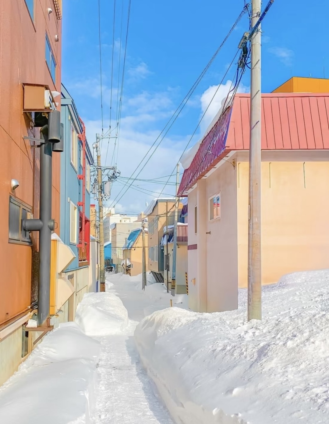 Sapporo/Hokkaido-Winter Wonderland: A Guide to Hokkaido for Snow Lovers