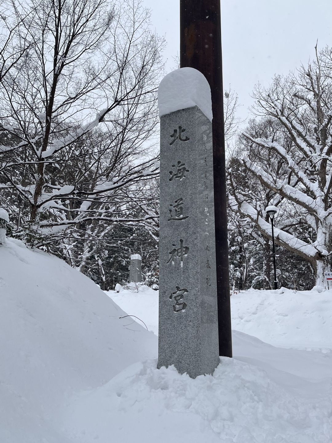 Sapporo/Hokkaido-Hokkaido Jingu Shrine a hundred times more beautiful than the Biei Christmas tree!Free of  hot tea!