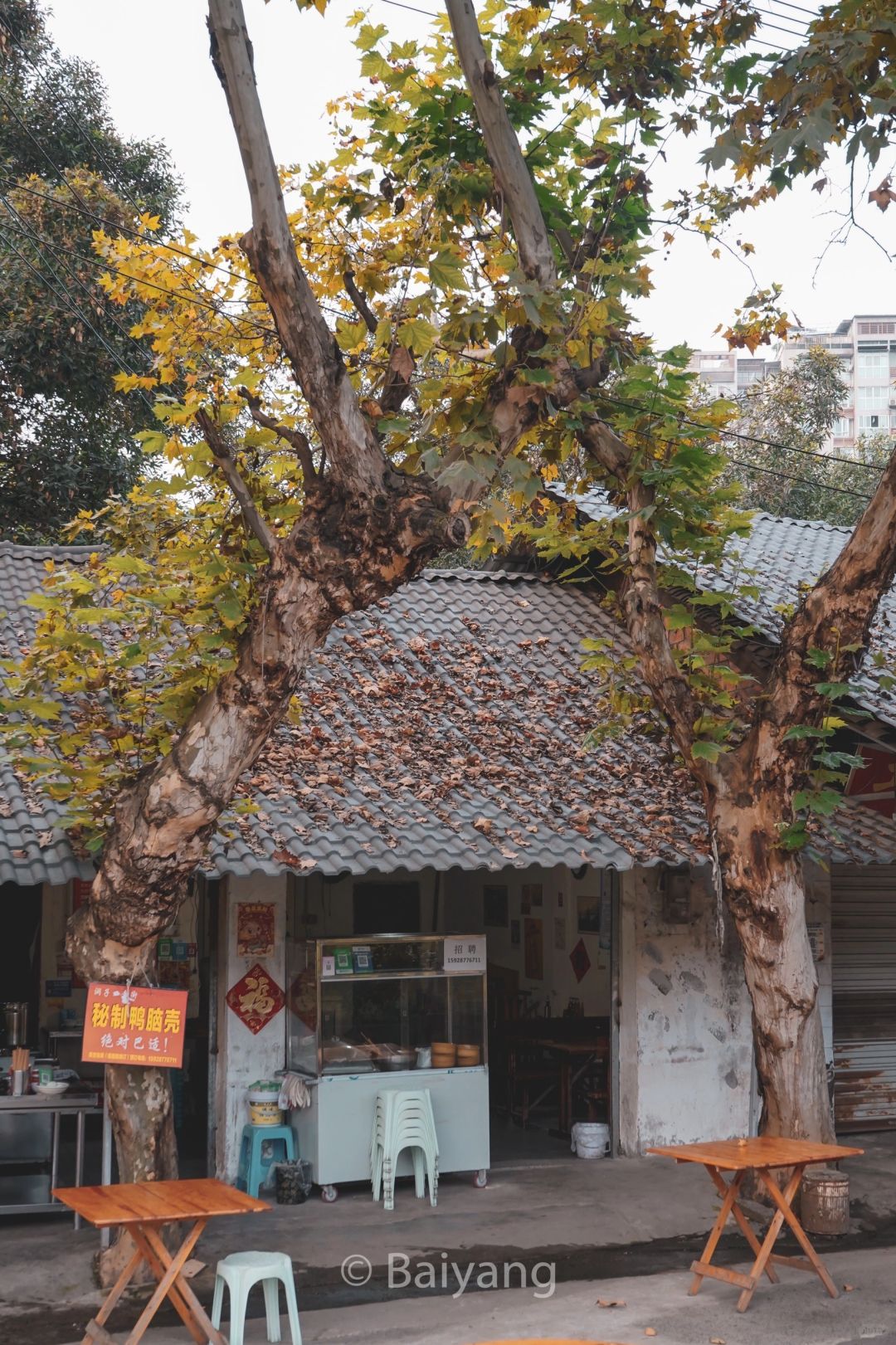 Sichuan-Compared to famous Chunxi Road, I recommend these old streets in Chengdu！