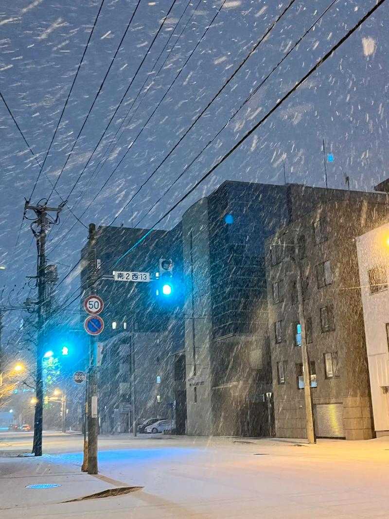 Sapporo/Hokkaido-5 Michelin-starred restaurants in Hokkaido that don’t require reservations--Ramen Sumire、Soup Curry GARAKU Address