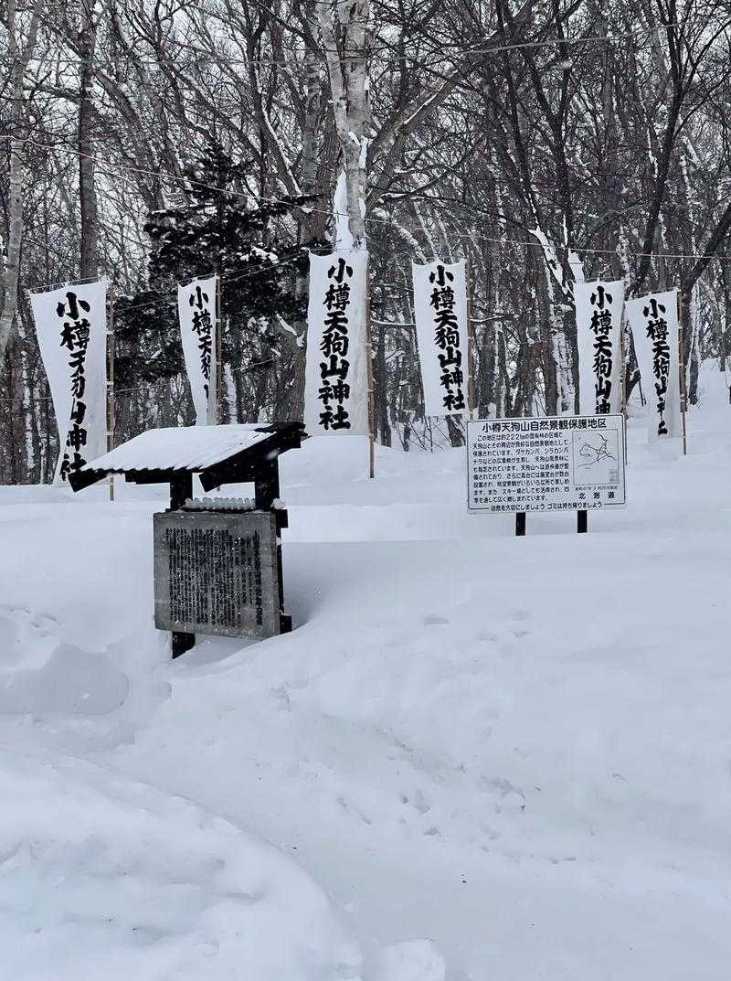 Sapporo/Hokkaido-5 Michelin-starred restaurants in Hokkaido that don’t require reservations--Ramen Sumire、Soup Curry GARAKU Address