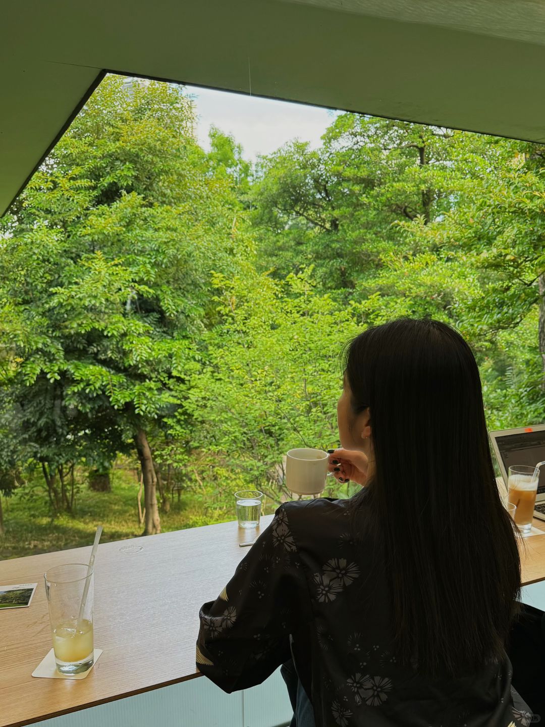 Tokyo-Artful Escape: Experiencing the "Museum 20 Minutes" at Nezu Cafe in the Nezu Museum of Art in Tokyo