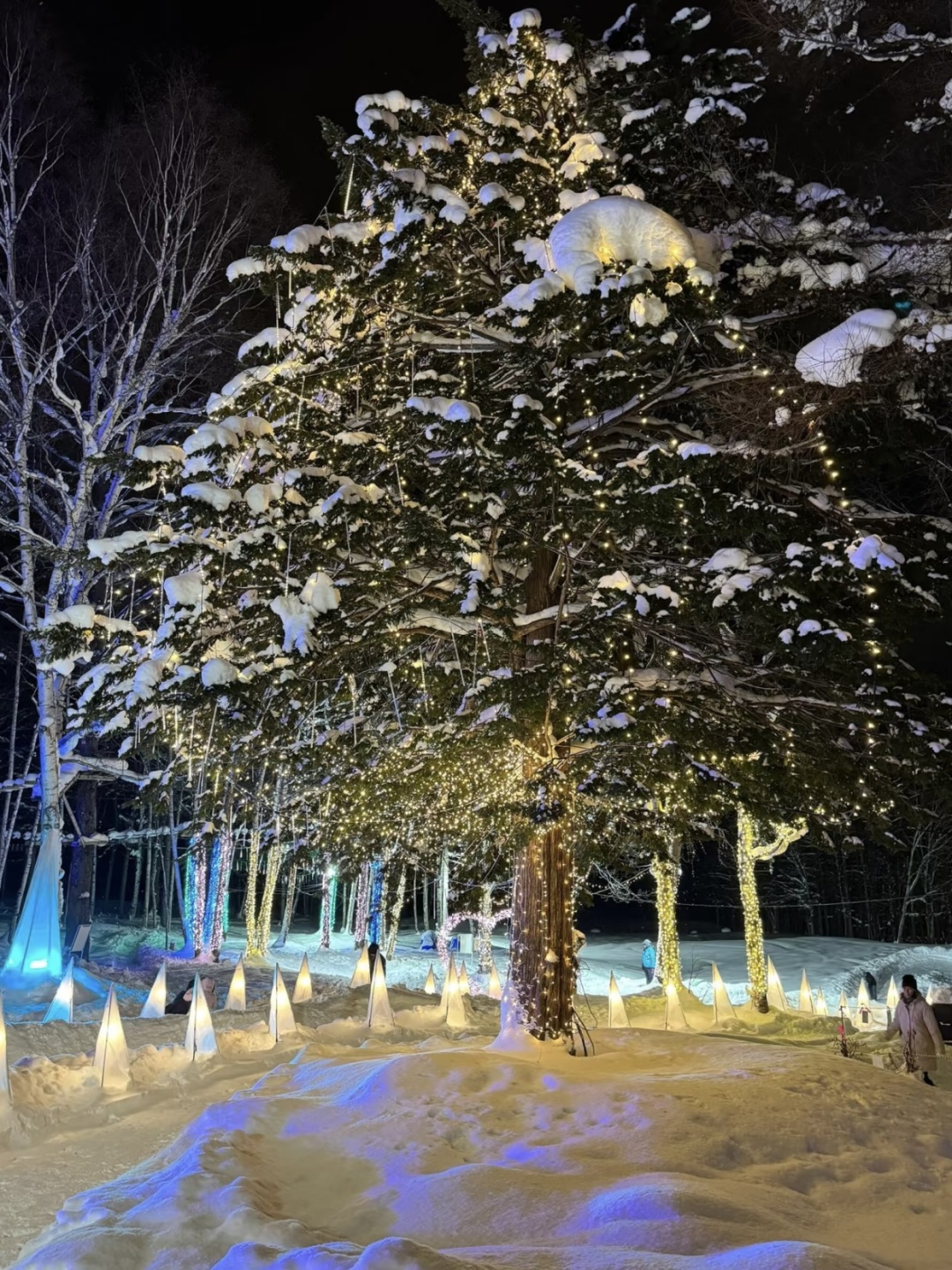 Sapporo/Hokkaido-Winter Light Festivals and Events in Hokkaido: A Guide to Magical Experiences in Sapporo Munich Christmas Market