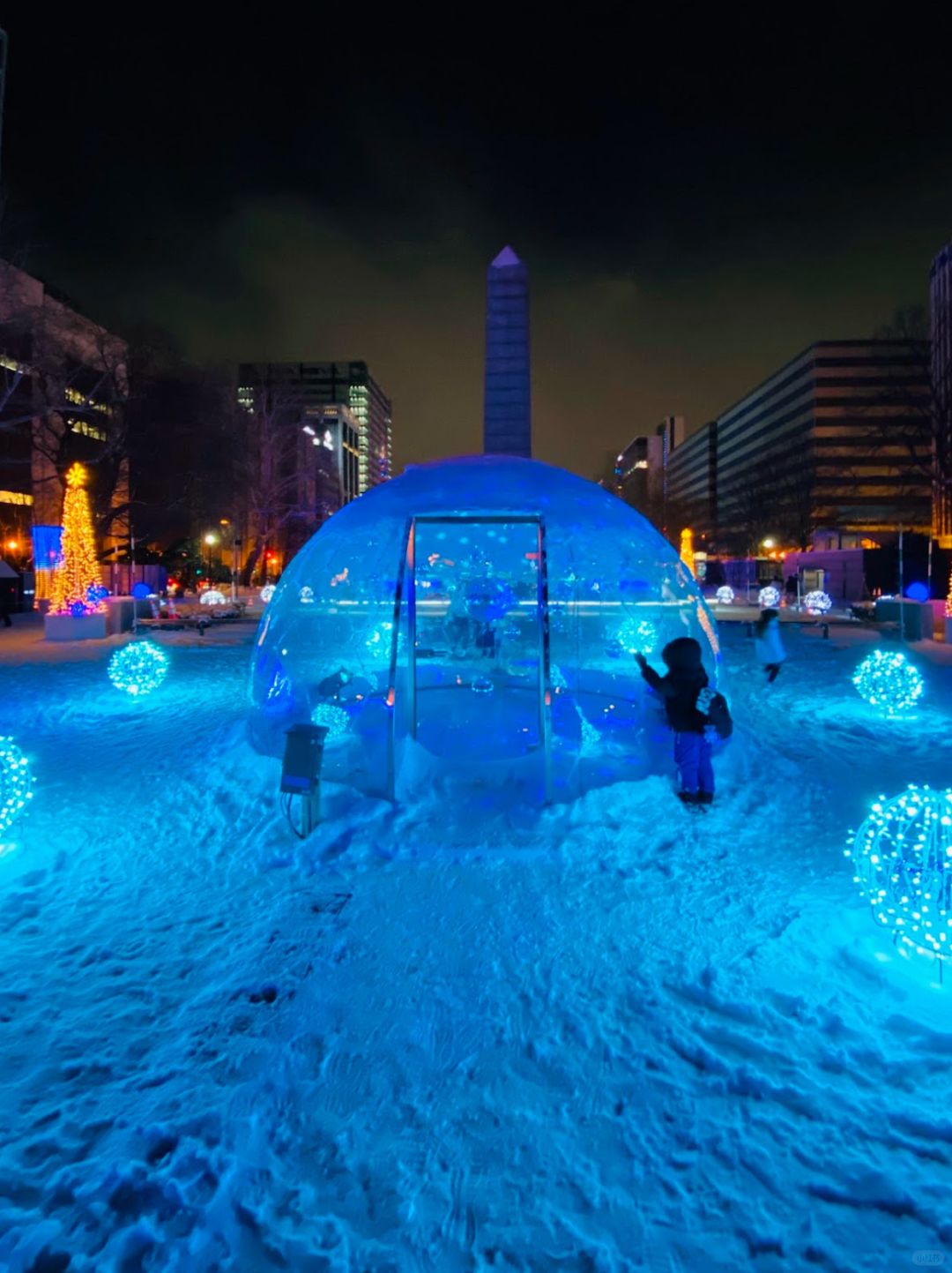 Sapporo/Hokkaido-Sapporo Odori Park Winter Visit: Pitfalls and Tips .And  watch  romantic scene inShiroi Koibito Park or Asahiyama Zoo