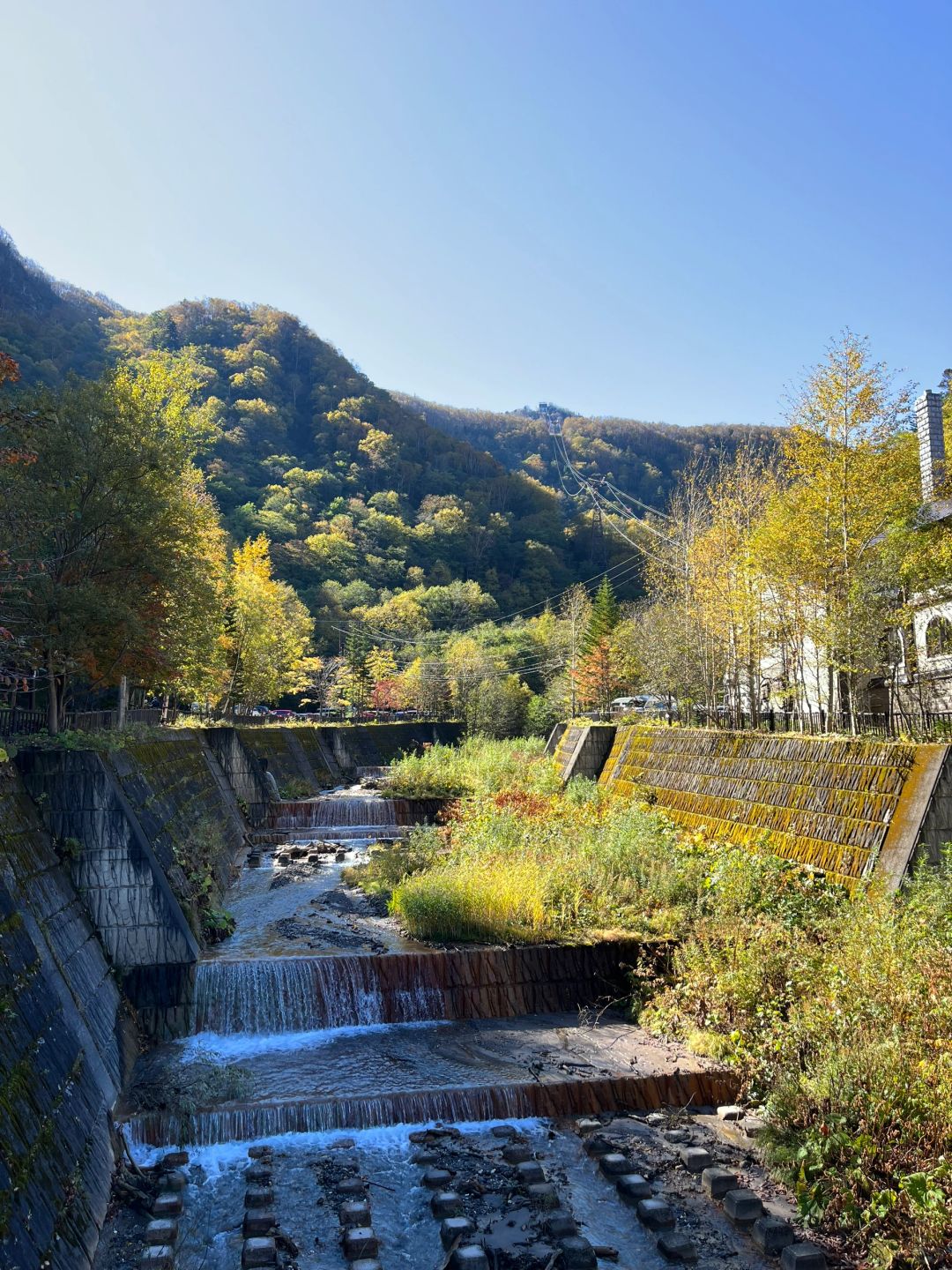 Sapporo/Hokkaido-Volcanic Trek from Asahidake to Kurodake: An Unforgettable Autumn Adventure with half the price