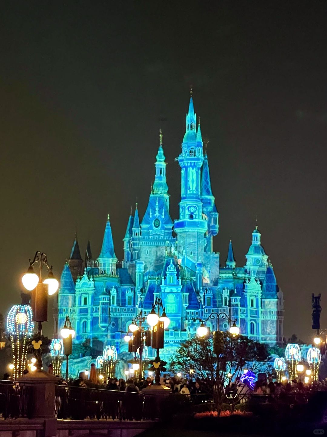 Shanghai/Hangzhou-A 14 hour tour of Shanghai Disneyland!