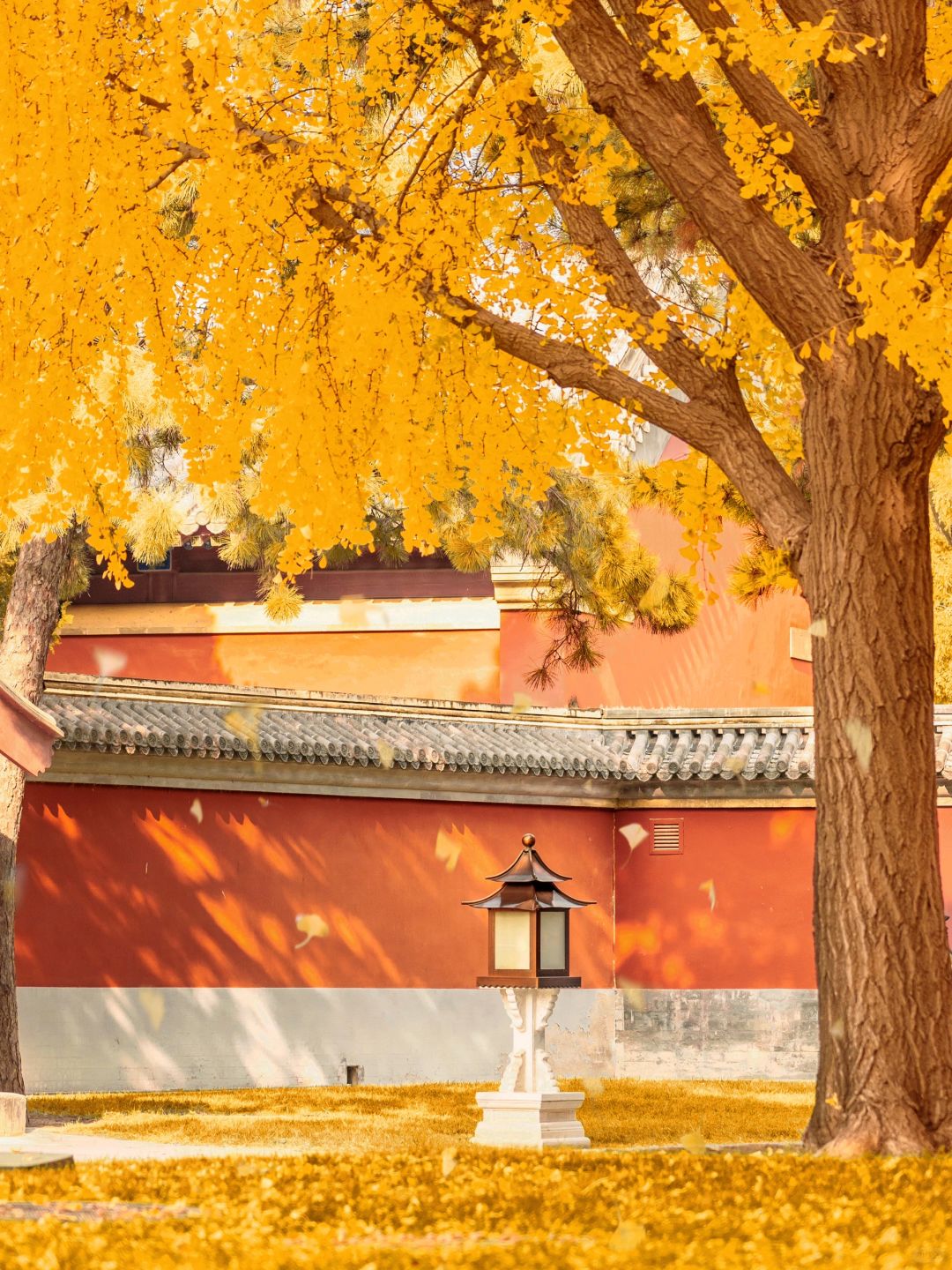 Beijing/Tianjin-The latest guide to the Forbidden City 2024‼ ️After reading this, you will fall in  love with Beijing！