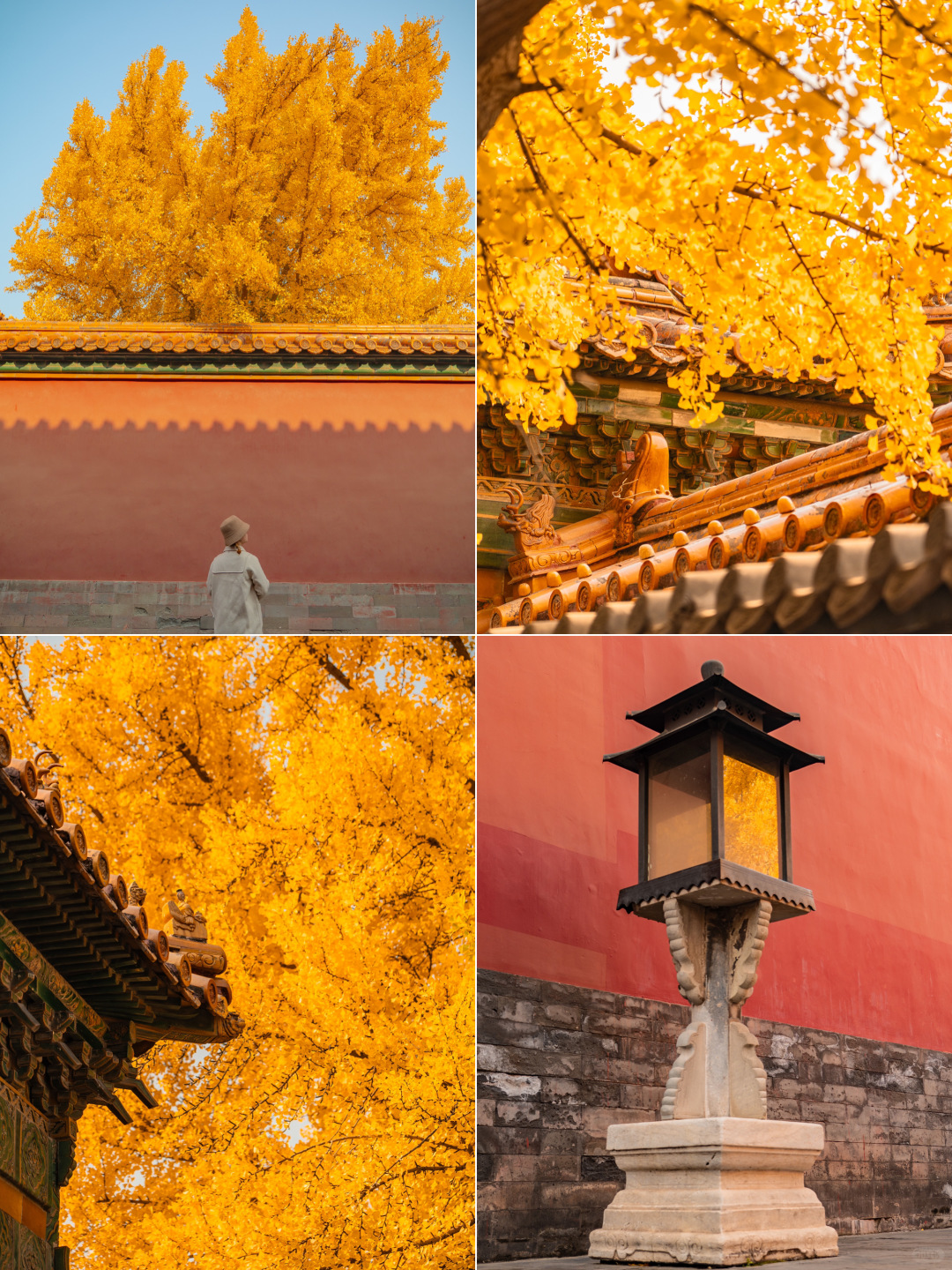 Beijing/Tianjin-The latest guide to the Forbidden City 2024‼ ️After reading this, you will fall in  love with Beijing！