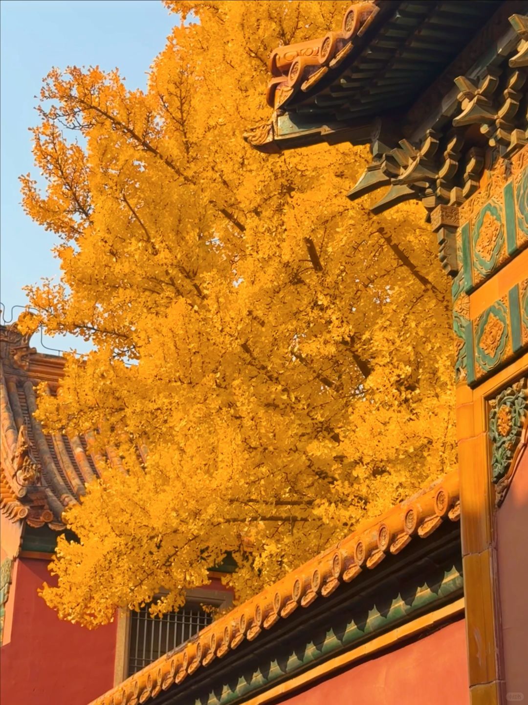 Beijing/Tianjin-The latest guide to the Forbidden City 2024‼ ️After reading this, you will fall in  love with Beijing！