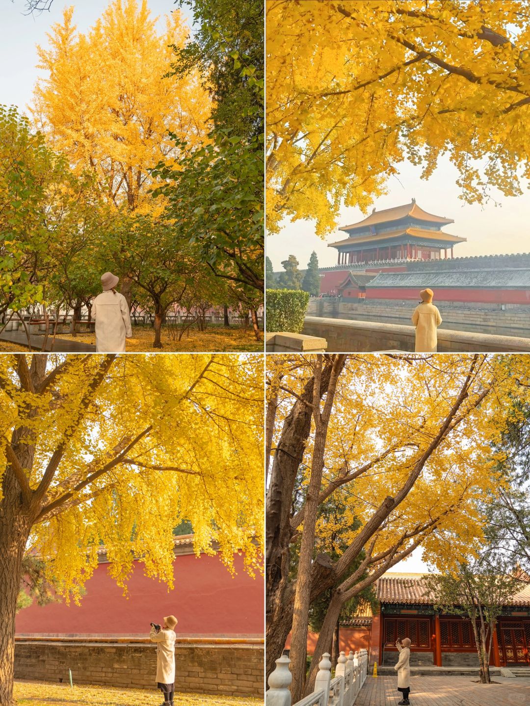 Beijing/Tianjin-The latest guide to the Forbidden City 2024‼ ️After reading this, you will fall in  love with Beijing！