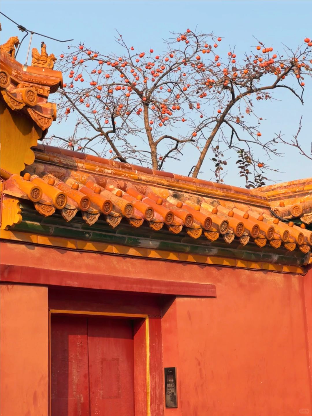 Beijing/Tianjin-The latest guide to the Forbidden City 2024‼ ️After reading this, you will fall in  love with Beijing！