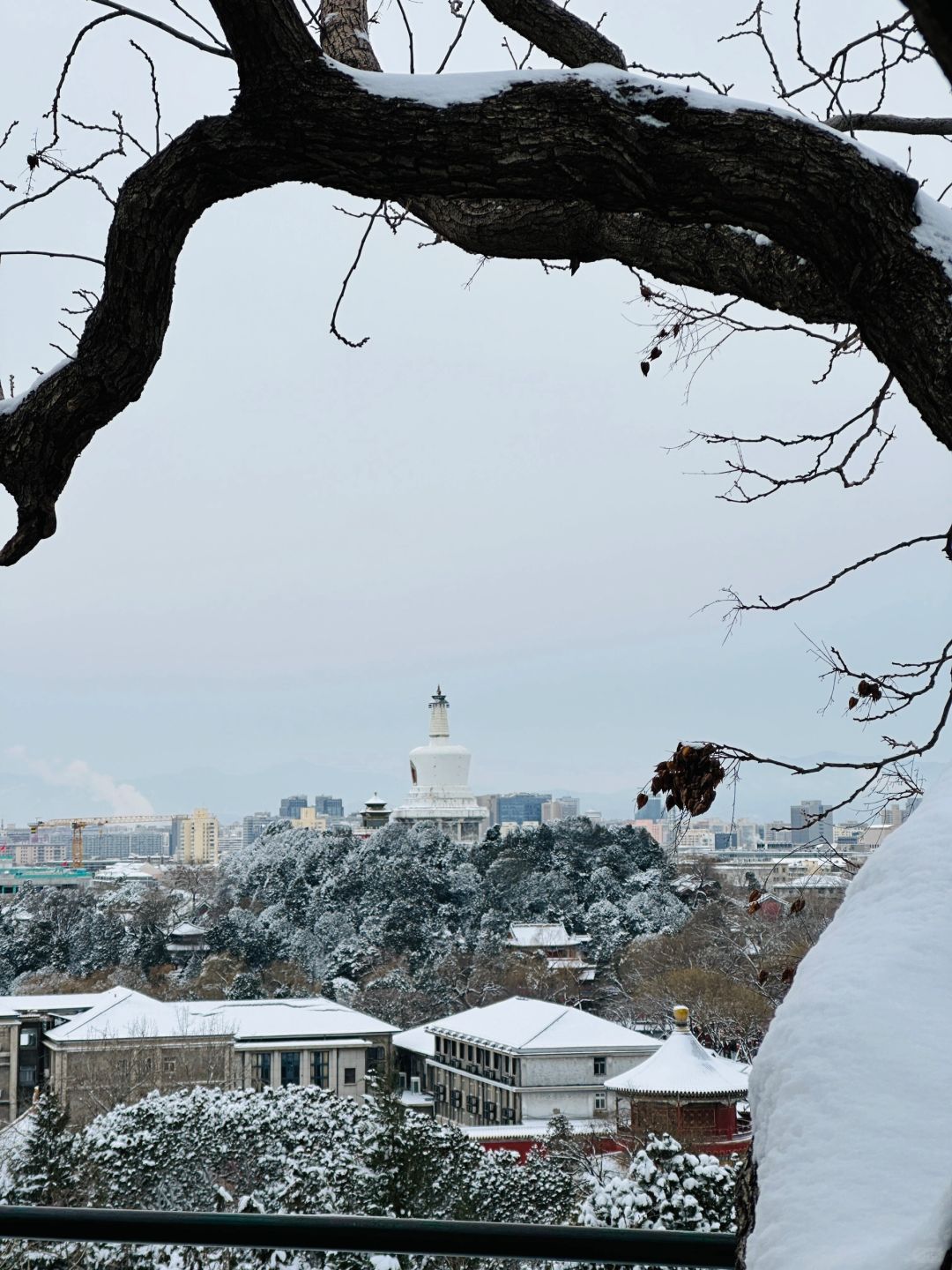 Beijing/Tianjin-Beijing is so vibrant after the snow, and the Forbidden City is even more beautiful！