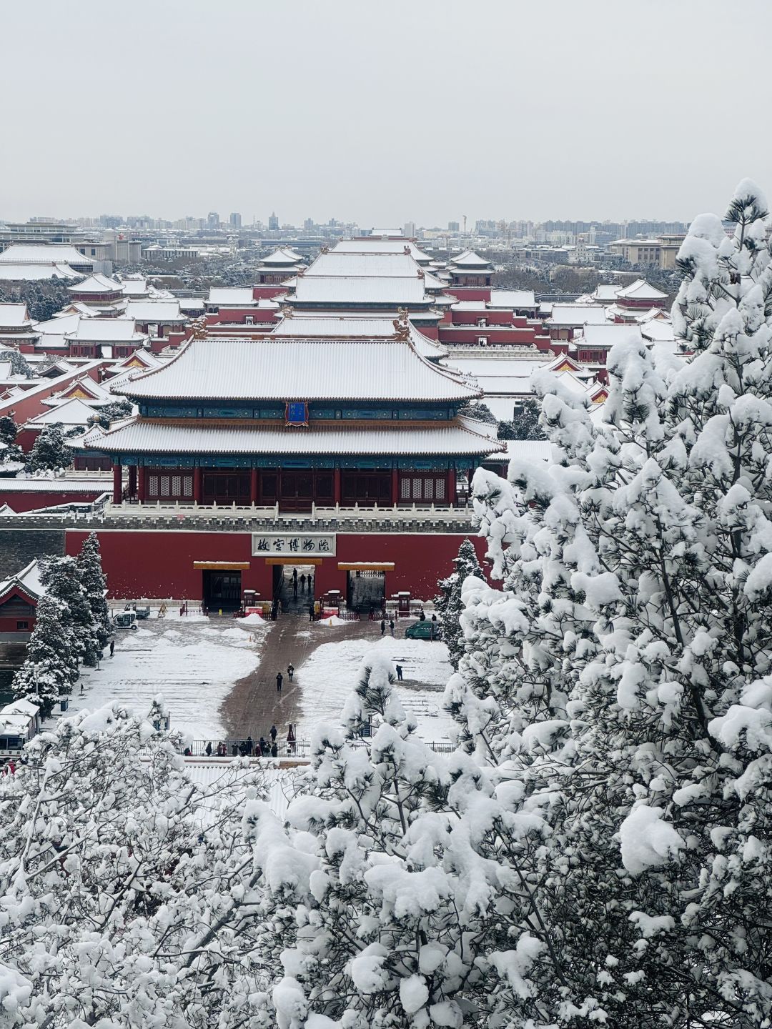 Beijing/Tianjin-Beijing is so vibrant after the snow, and the Forbidden City is even more beautiful！