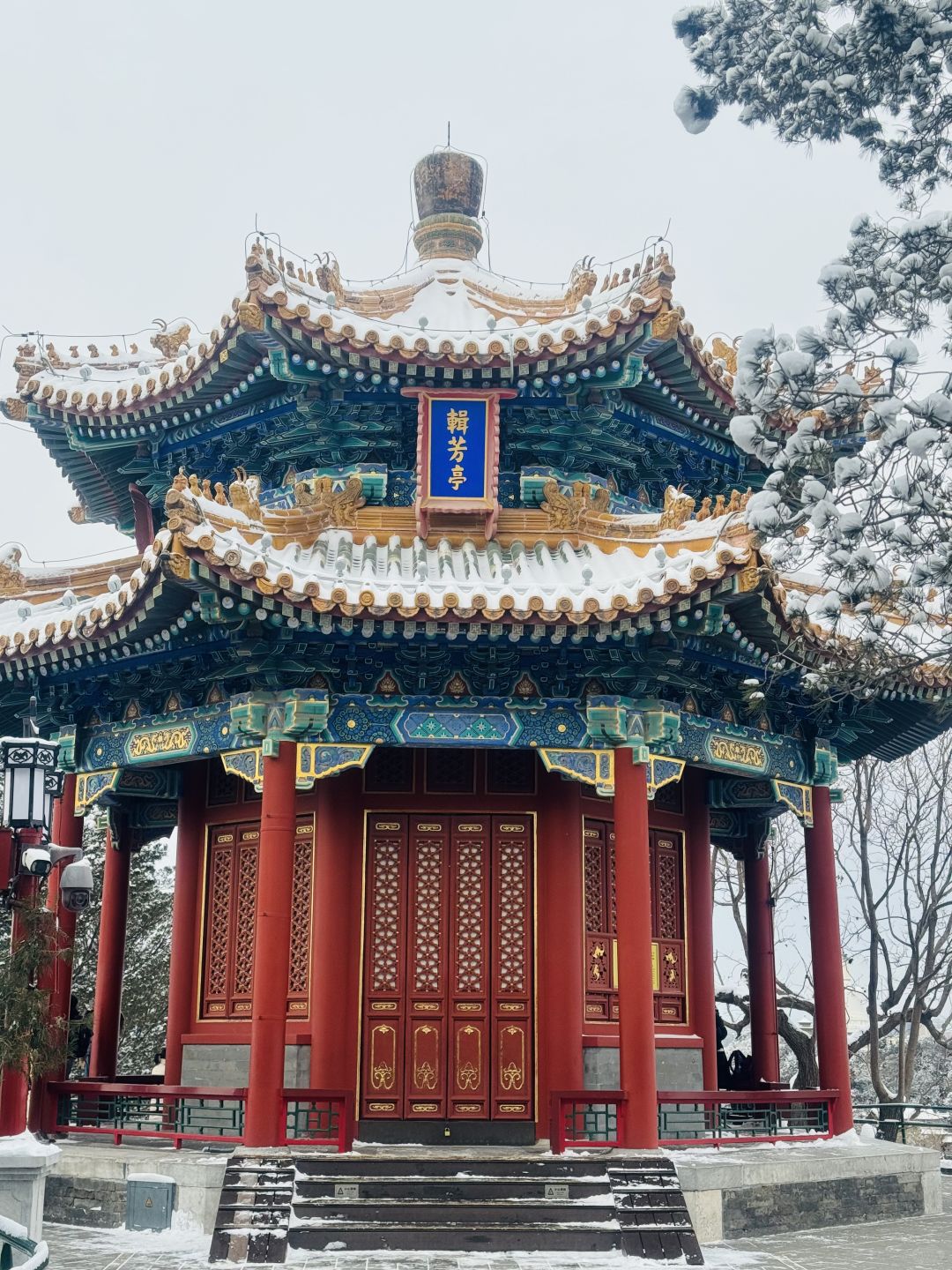 Beijing/Tianjin-Beijing is so vibrant after the snow, and the Forbidden City is even more beautiful！