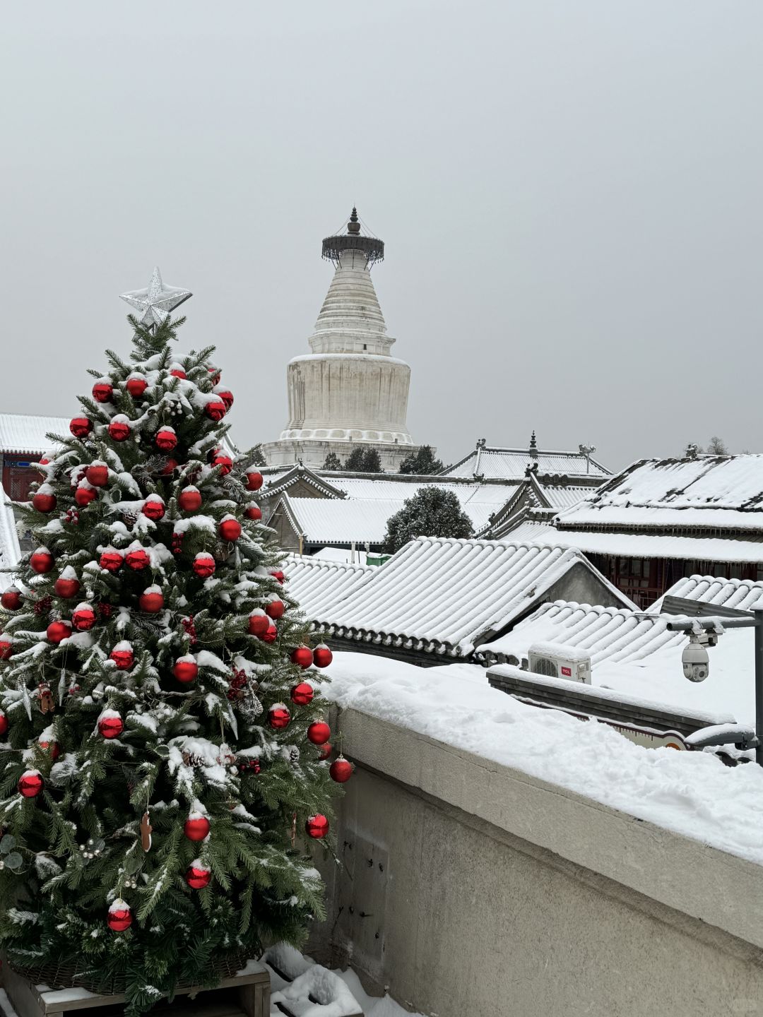 Beijing/Tianjin-Beijing is so vibrant after the snow, and the Forbidden City is even more beautiful！