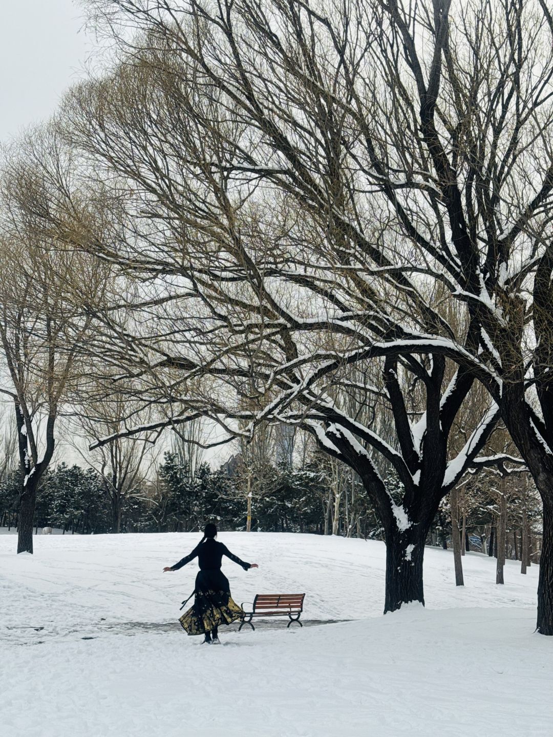 Beijing/Tianjin-Beijing is so vibrant after the snow, and the Forbidden City is even more beautiful！