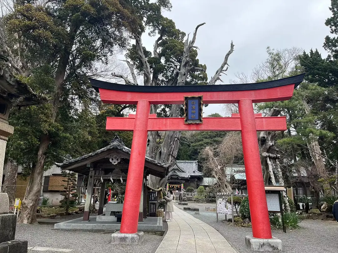 Tokyo-Izu Travel Guide:Shirahama Shrine,Ginsui Village,Ginsuiso hotel  providing "One ​​stay, two meals"