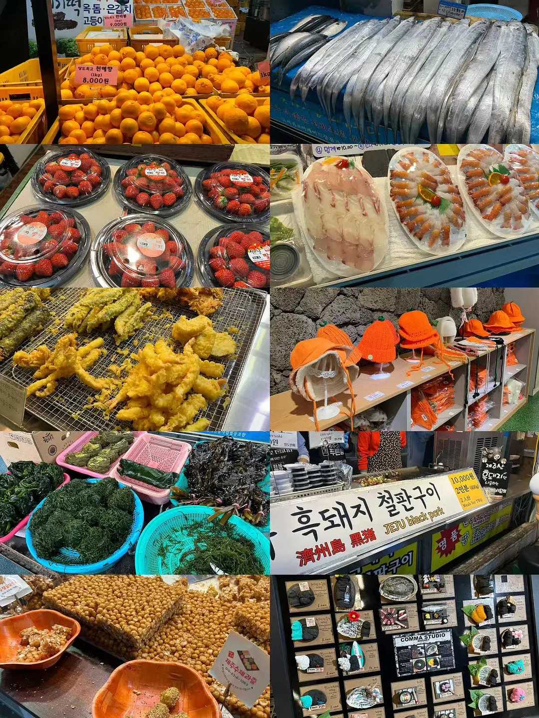 Busan/Jeju-Traveling around Jeju Island with the waves, sea breeze, art galleries and citrus-colored letters.