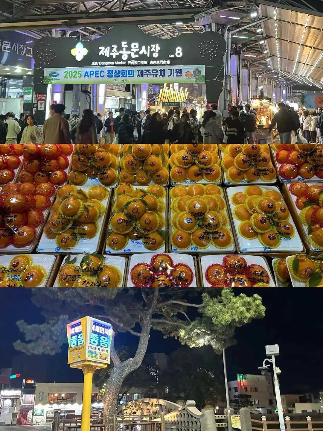 Busan/Jeju-Traveling around Jeju Island with the waves, sea breeze, art galleries and citrus-colored letters.